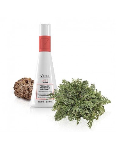 Ybera Lifes Flower. Champú Hidratación y protección